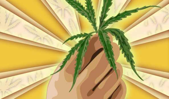 The Miraculous Medical Benefits of Marijuana