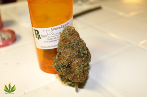 Pineapple Express marijuana strain nug