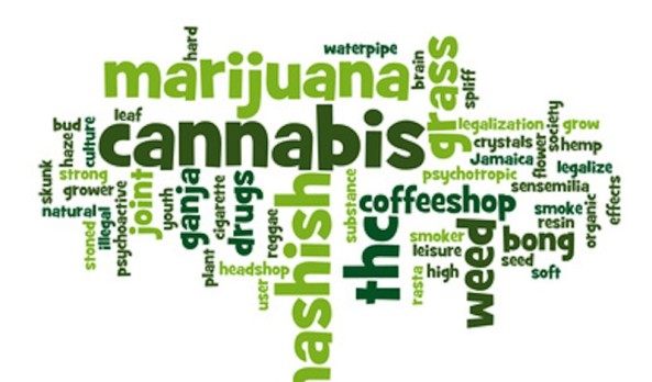 Medical Marijuana Facts: 10 Things You Oughta Know!
