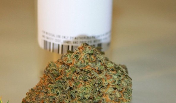 Green Crack Strain Review