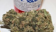NS Sour Diesel Strain Review by 420Cali