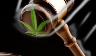 Illinois Senate Approves Medical Marijuana