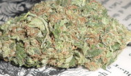 Super Sour Diesel Strain Review by 420Cali