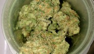 Blue Dream Strain Review by 420Cali
