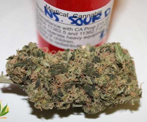 NS Sour Diesel Strain Review by 420Cali